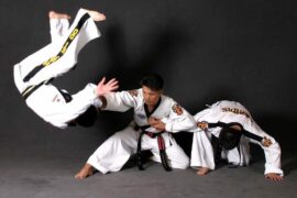 karate essay for black belt